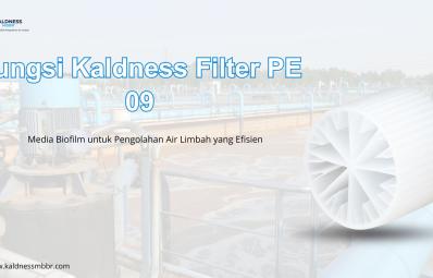 Fungsi Kaldness Filter PE 09